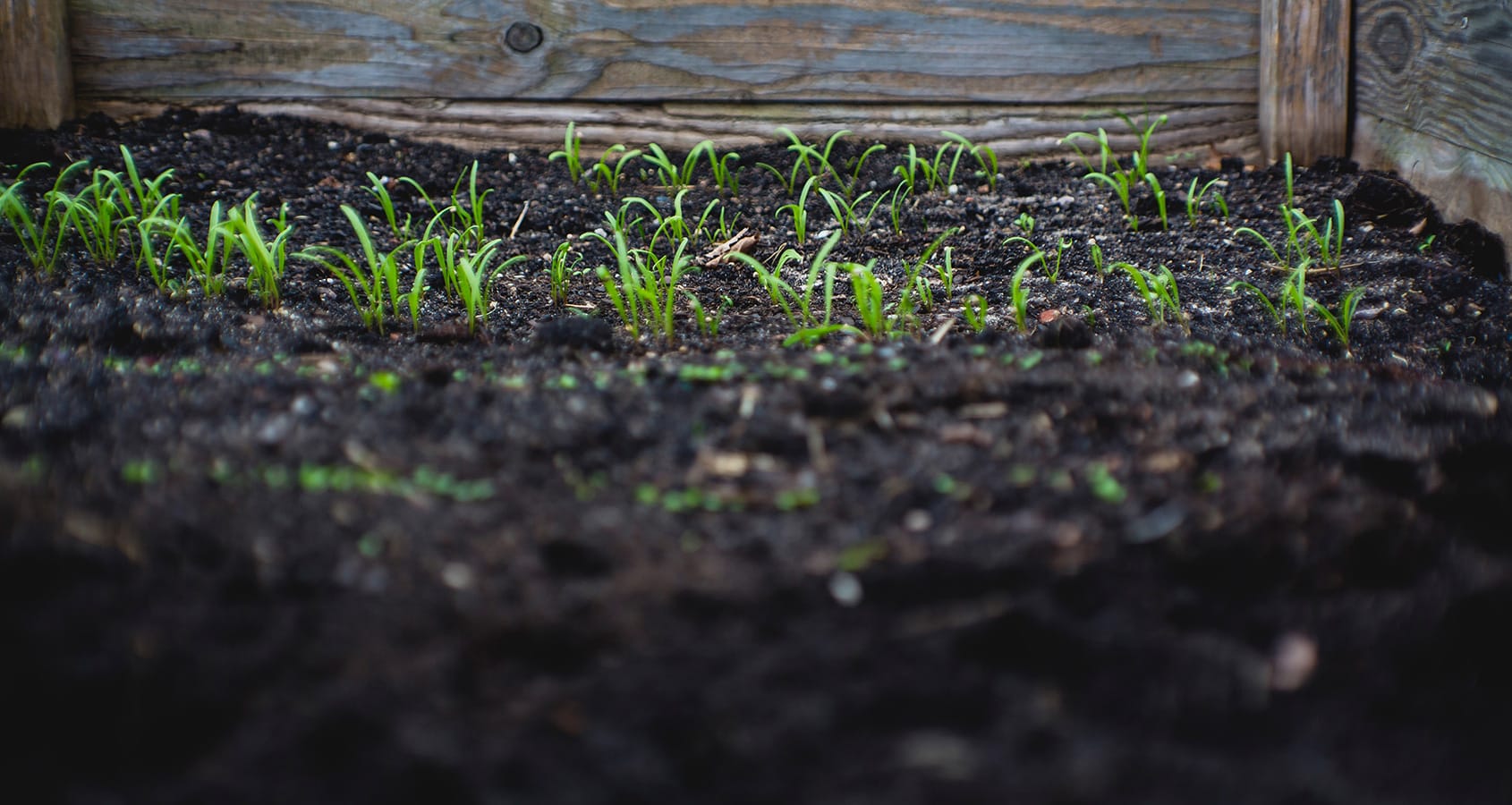 10 Pro Composting Tips from Expert Gardeners - Eartheasy