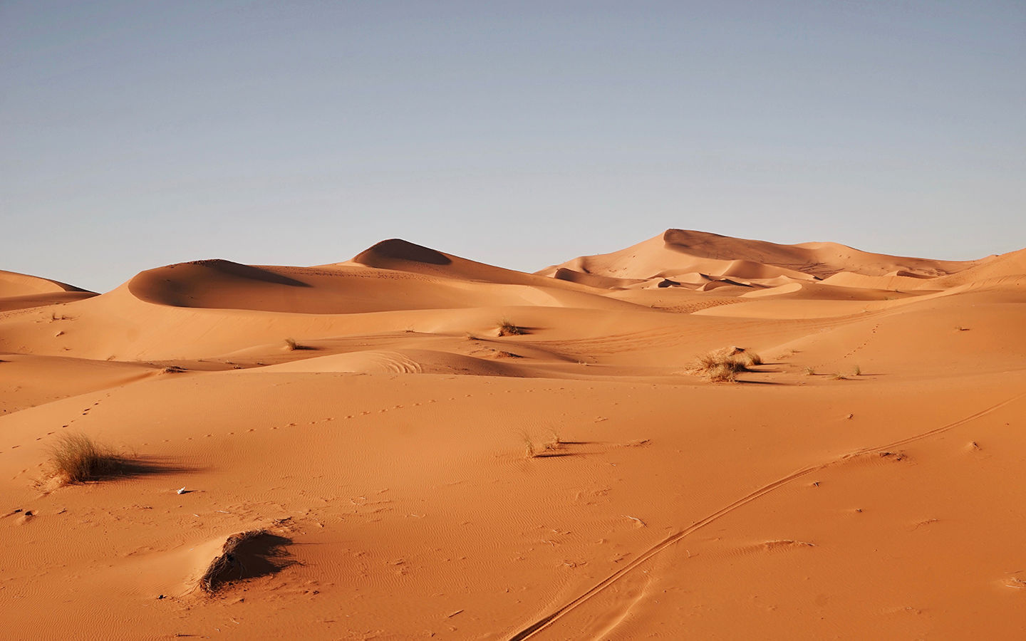 Solar Power From Saharan Sun Could Power Europe
