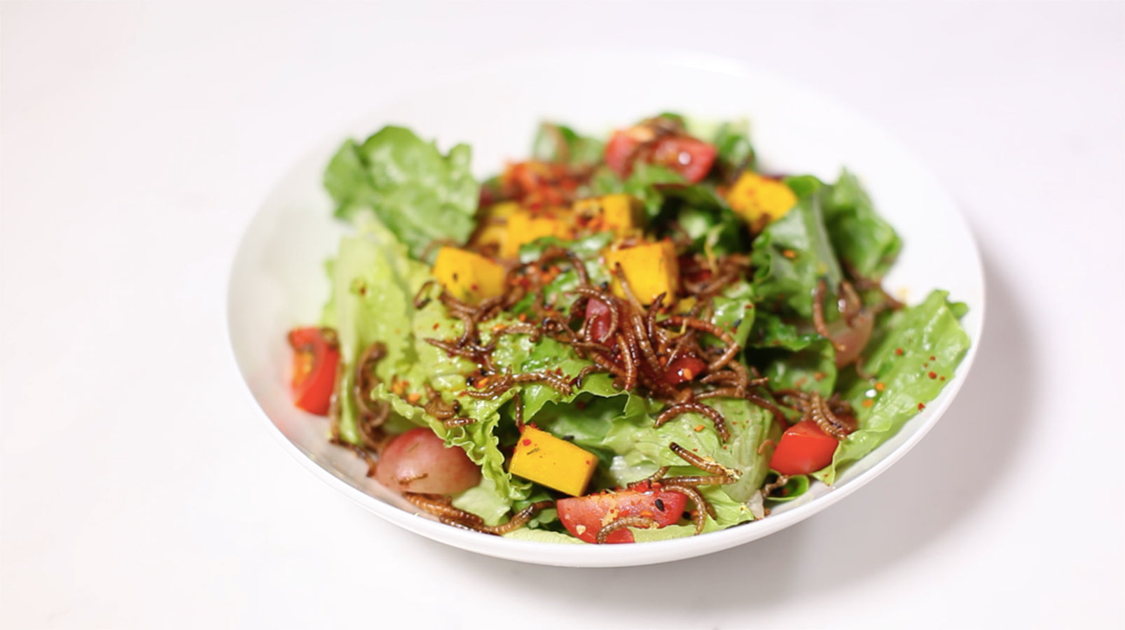 Should We Be Eating Insects?