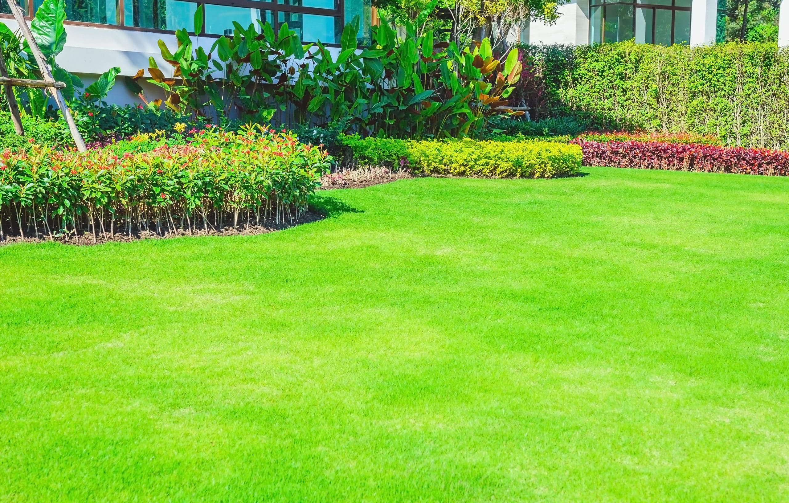 Raising Men Lawn Care Service Review