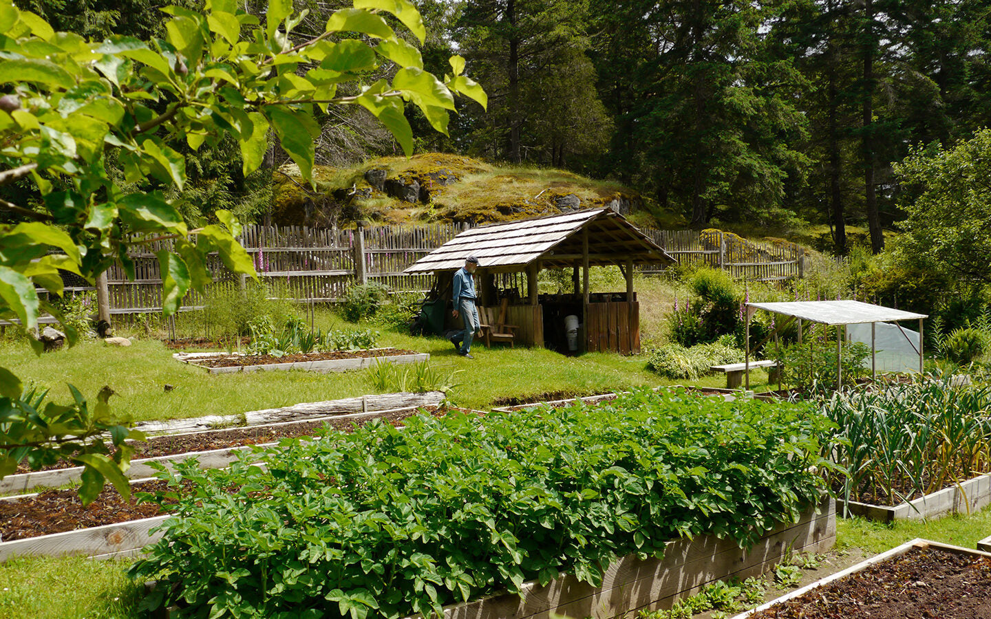 5 Secrets to a ‘No-work’ Garden