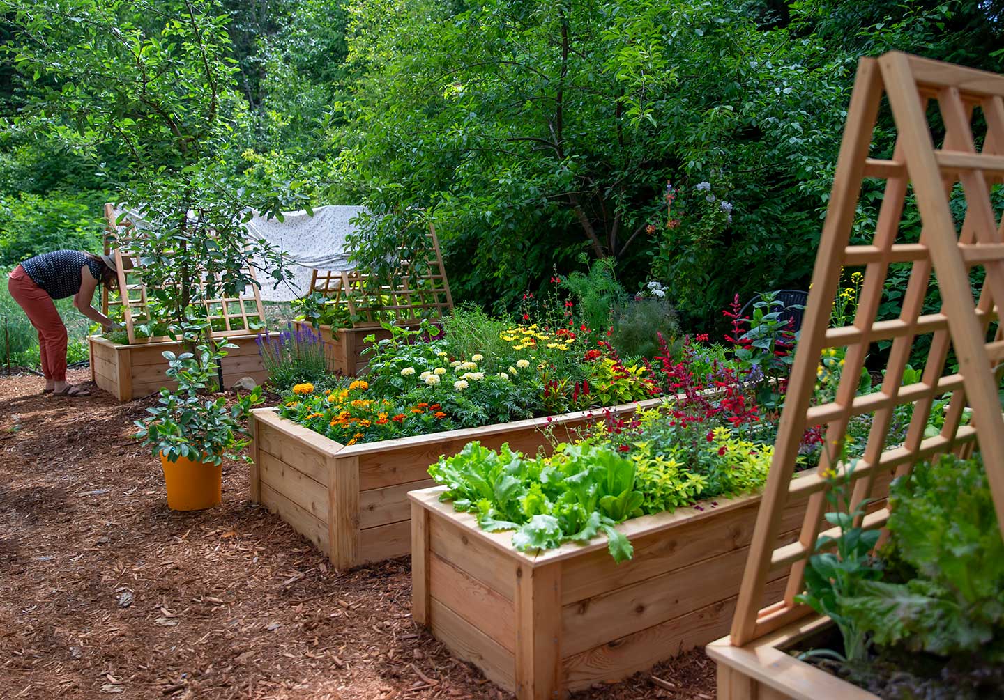 Easy Planting Plans for Raised Garden Beds & Planters