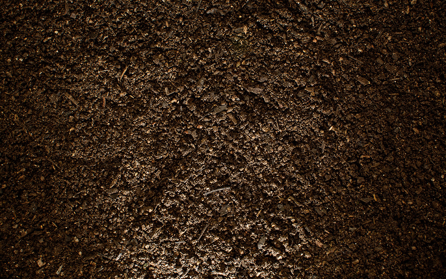 6 Tips for Building Soil for Your Raised Garden Beds and Planters