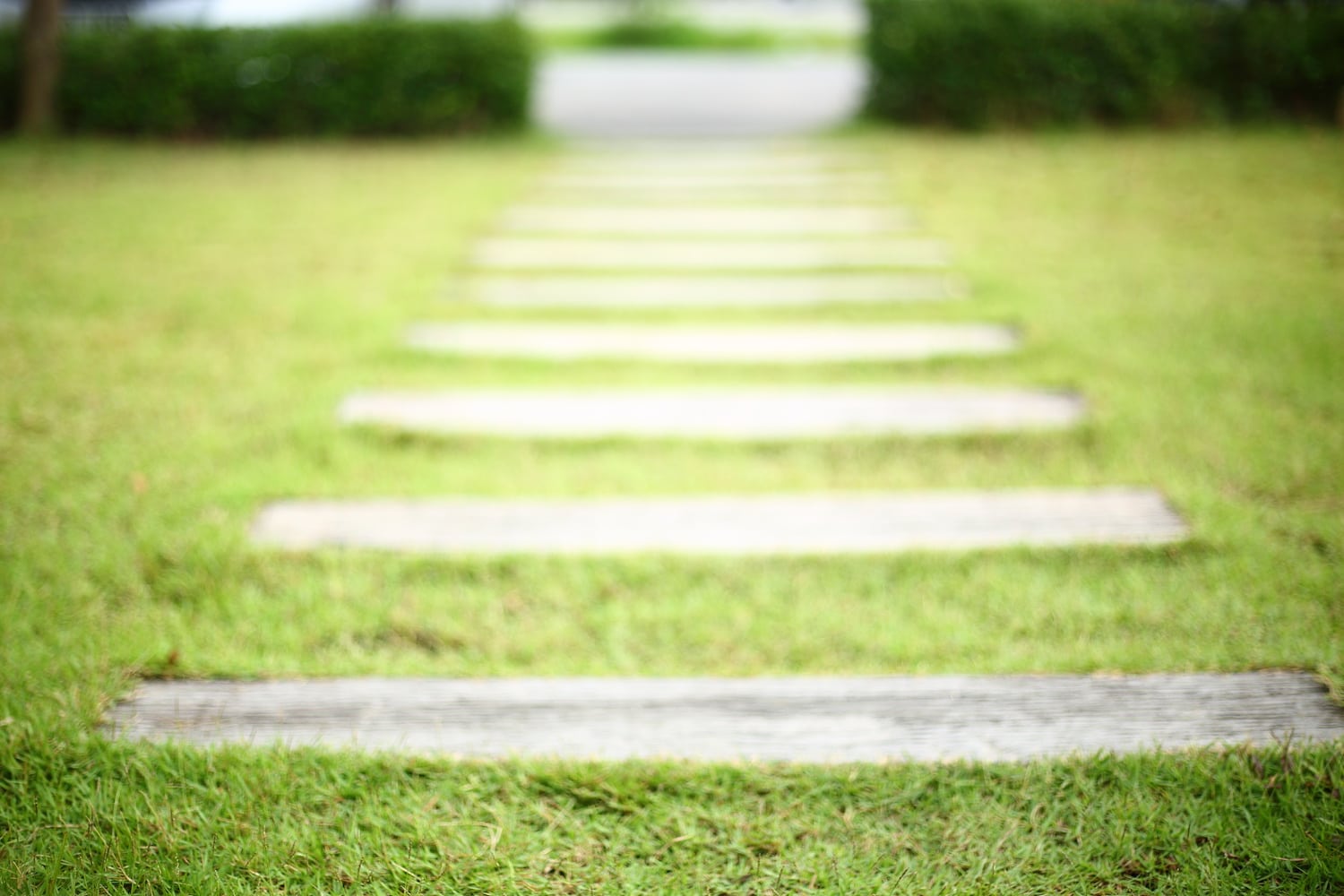 Why Nature Play is More Important Than Ever