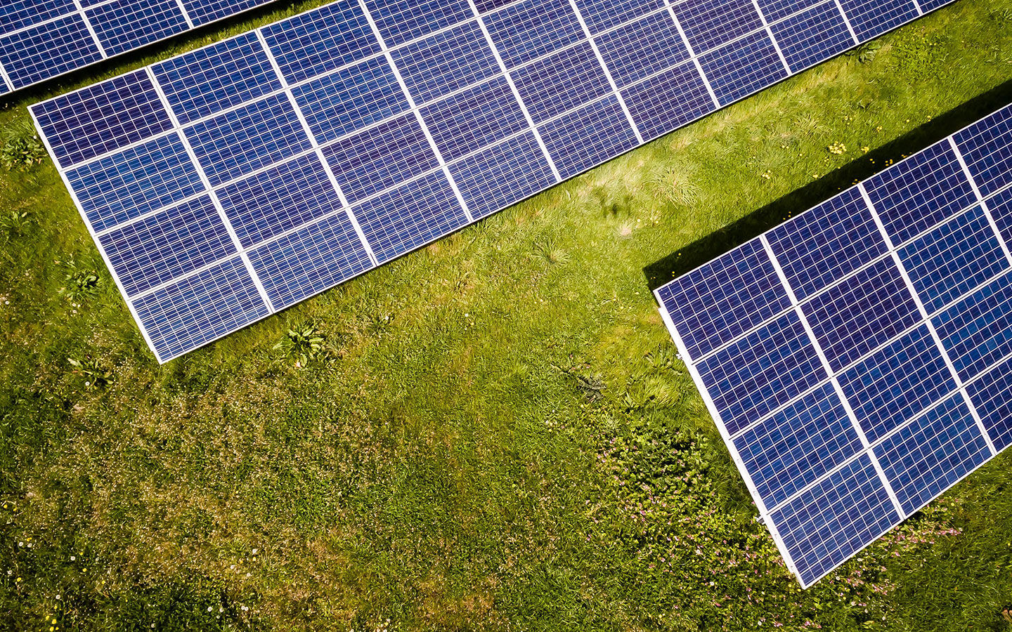 How to Get Started with Alternative Energy
