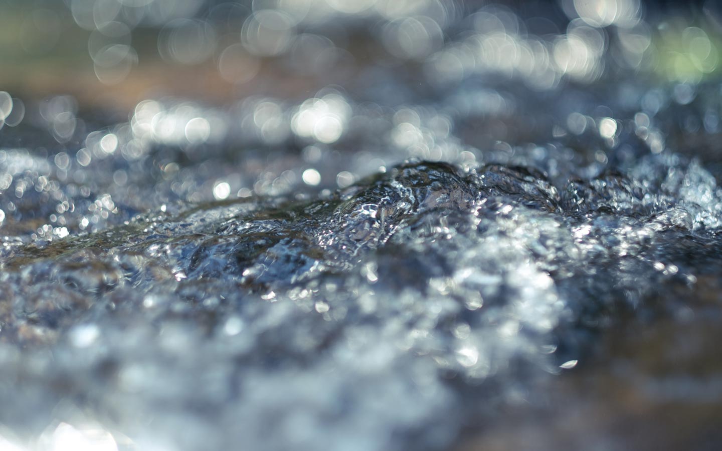 Backyard River System