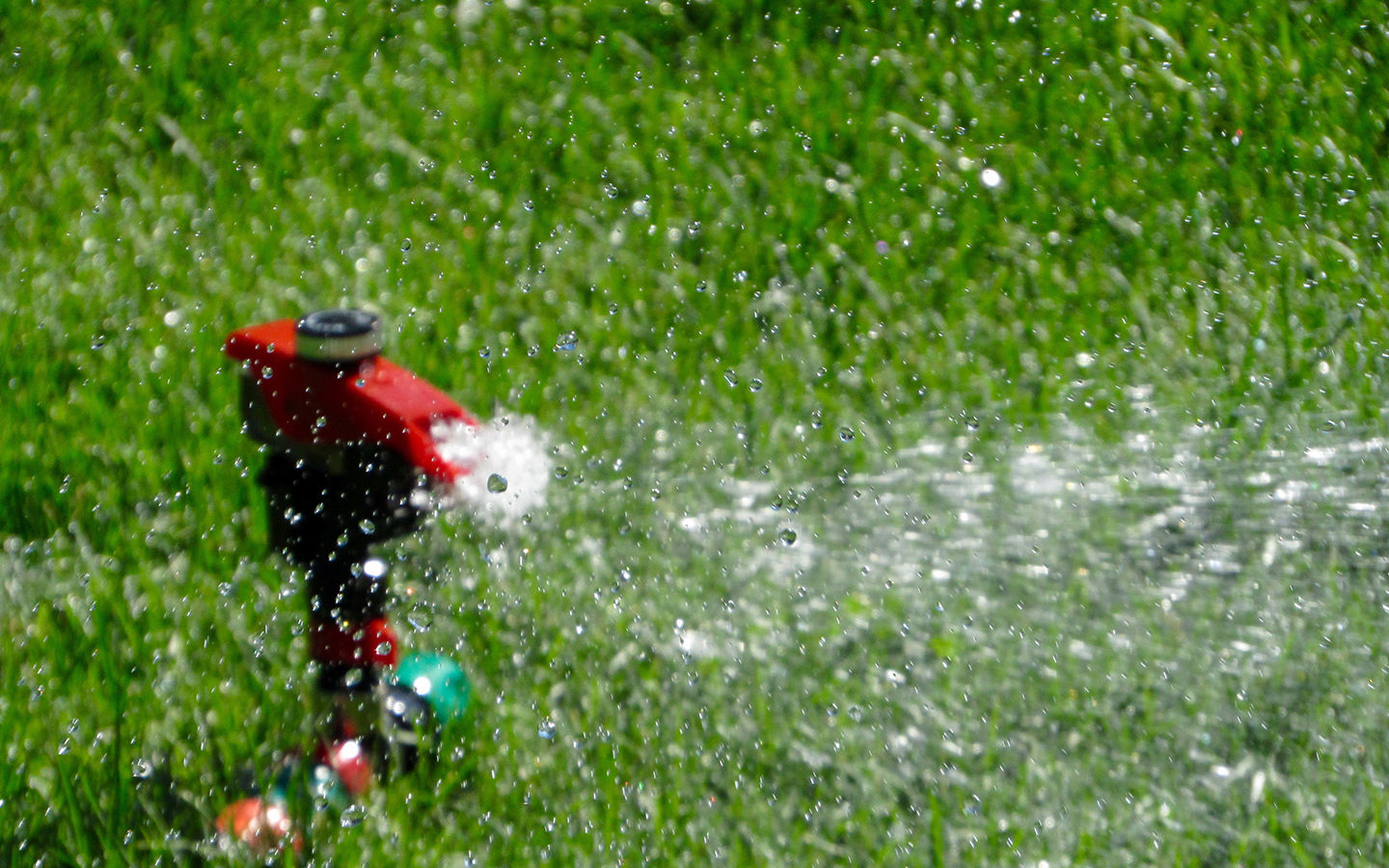 7 Clever Ways to Lower Your Water Bill this Summer