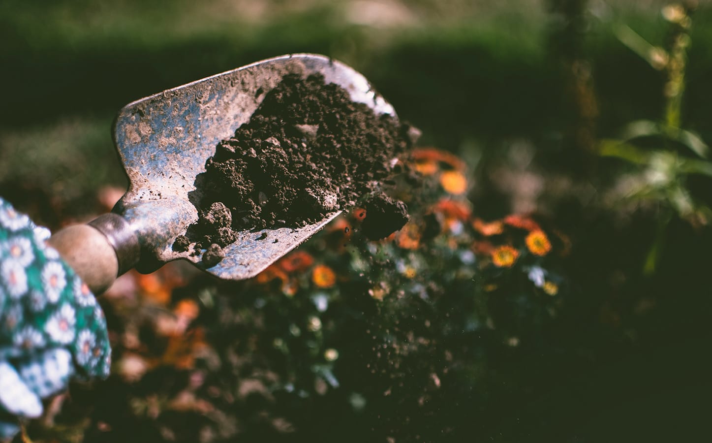Best Compost Bins and Tumblers of 2019: Reviews