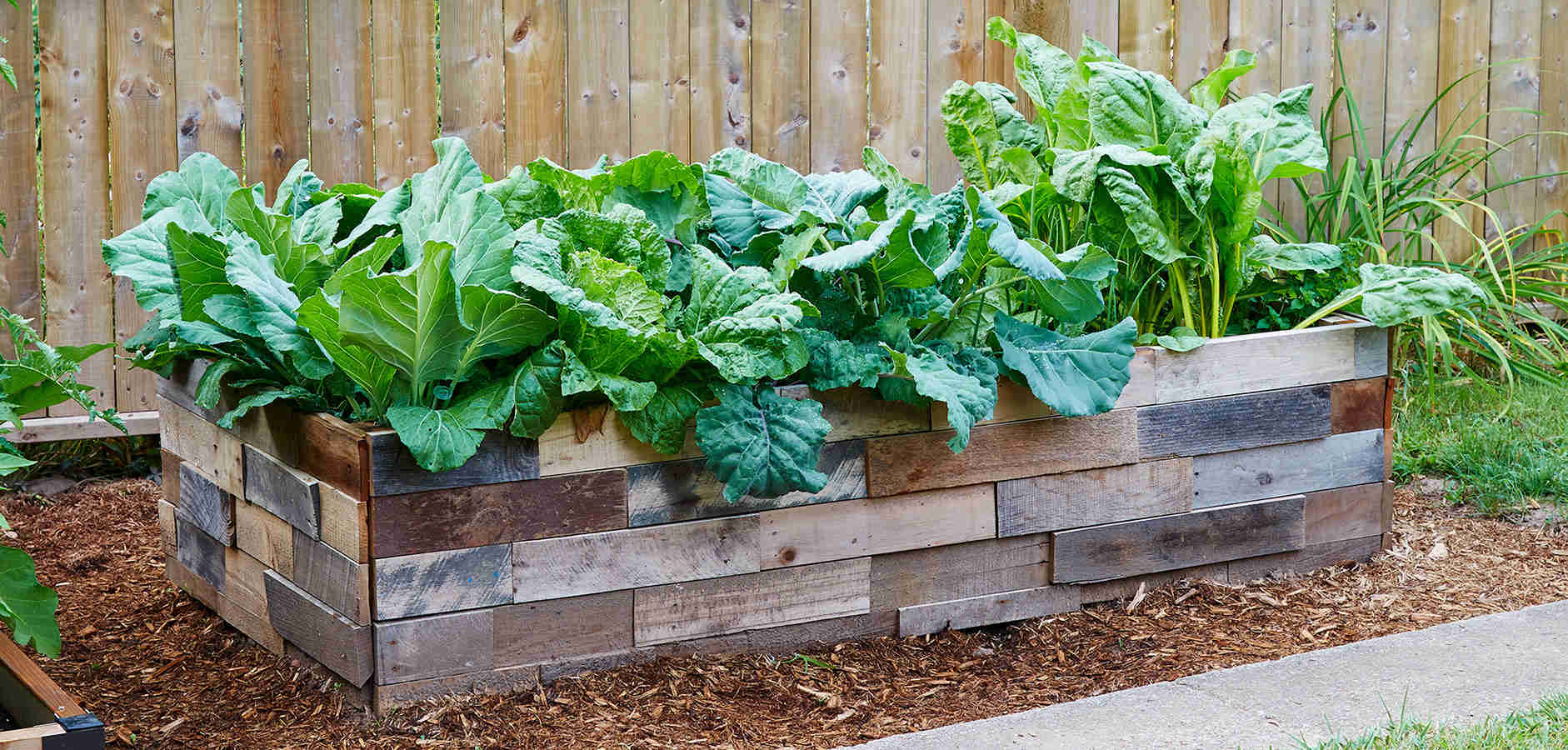 How to Grow the Best Food Imaginable in Your Raised Garden Beds