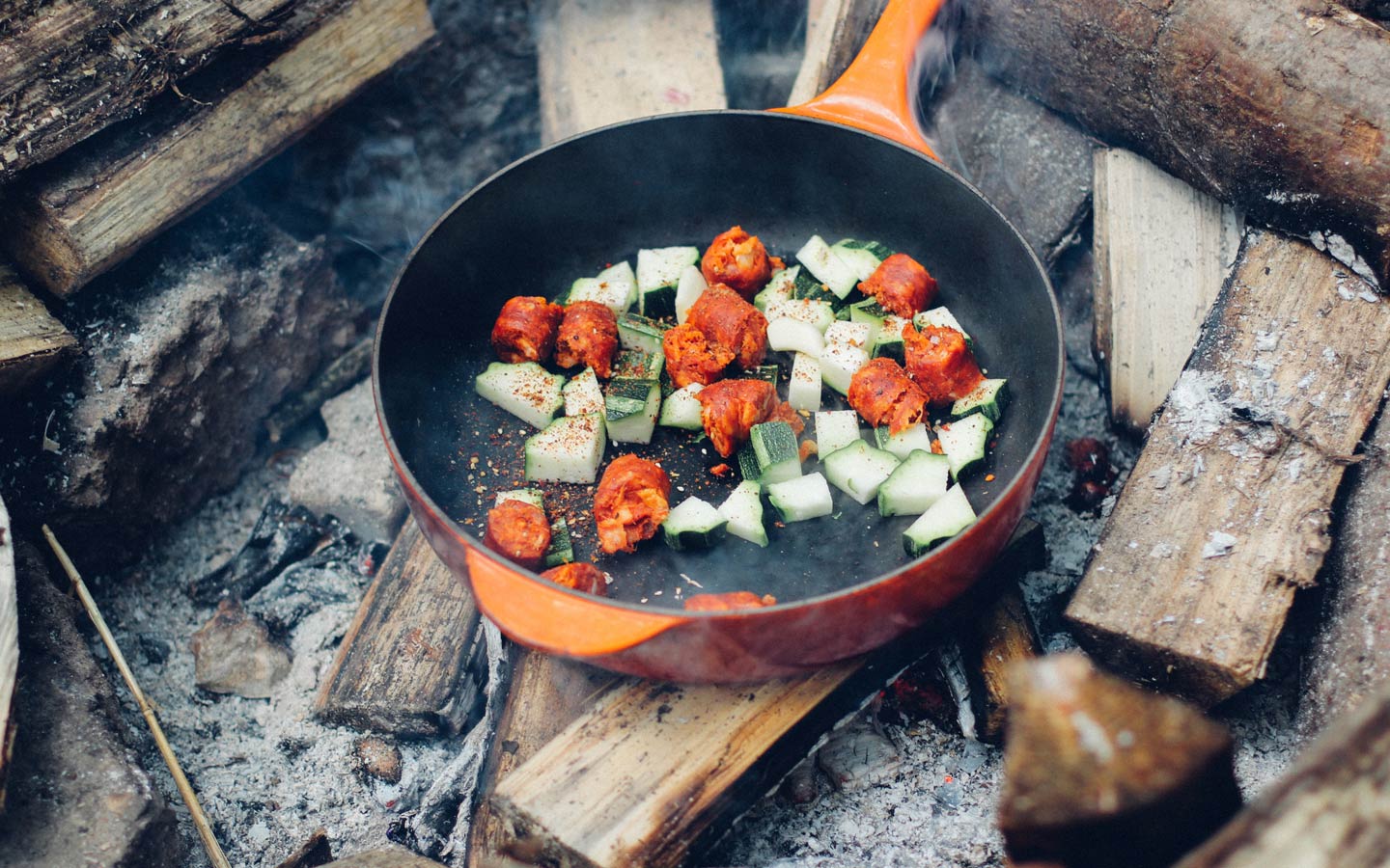 Campfire Cooking - Eartheasy