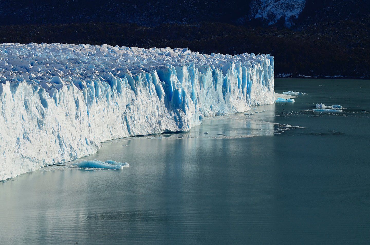 Climate Change: What You Can Do About It - Eartheasy