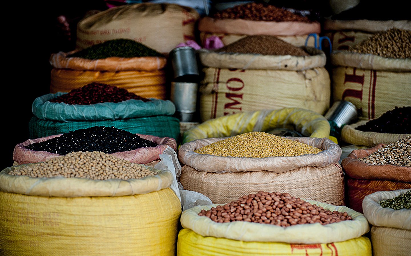 Food Storage Tips - Eartheasy