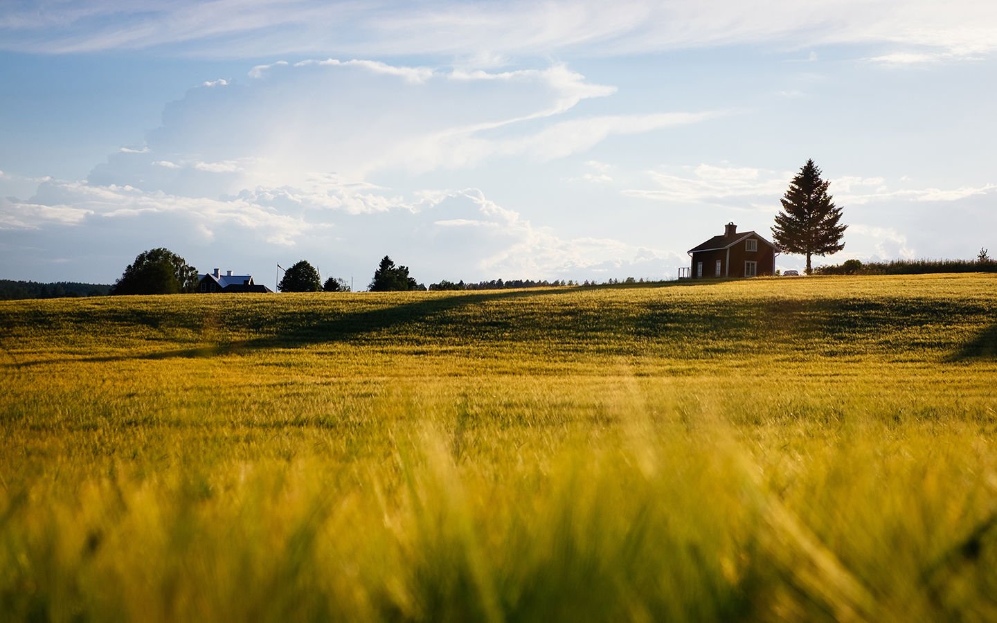 Free Land: Are you Ready to Try Homesteading? - Eartheasy