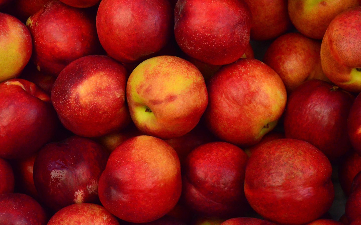 Fruits and Vegetables Yielding Fewer Nutrients Than in the Past - Eartheasy