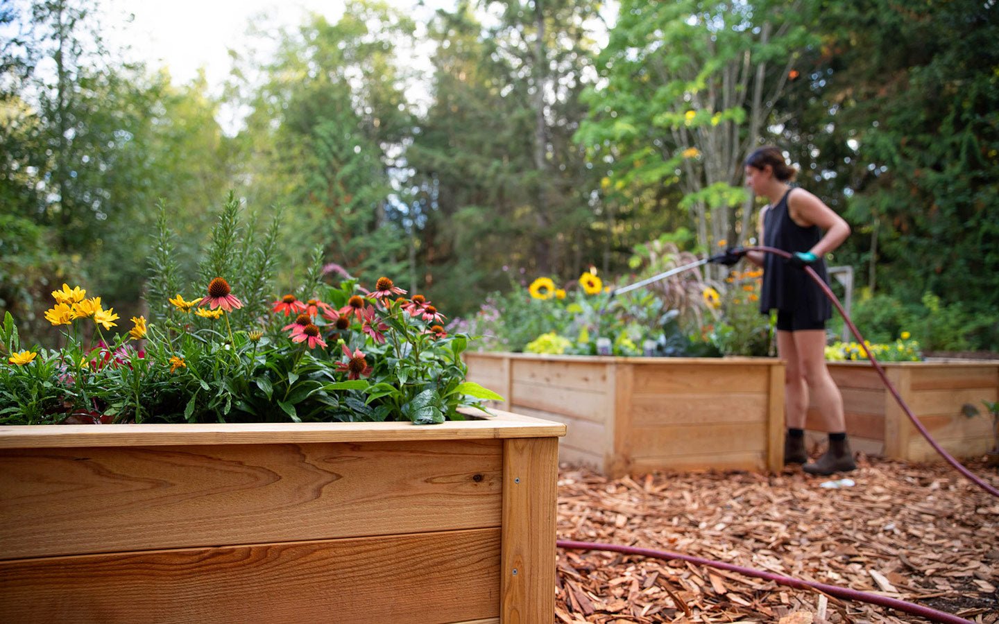 Garden Projects for Early Spring - Eartheasy
