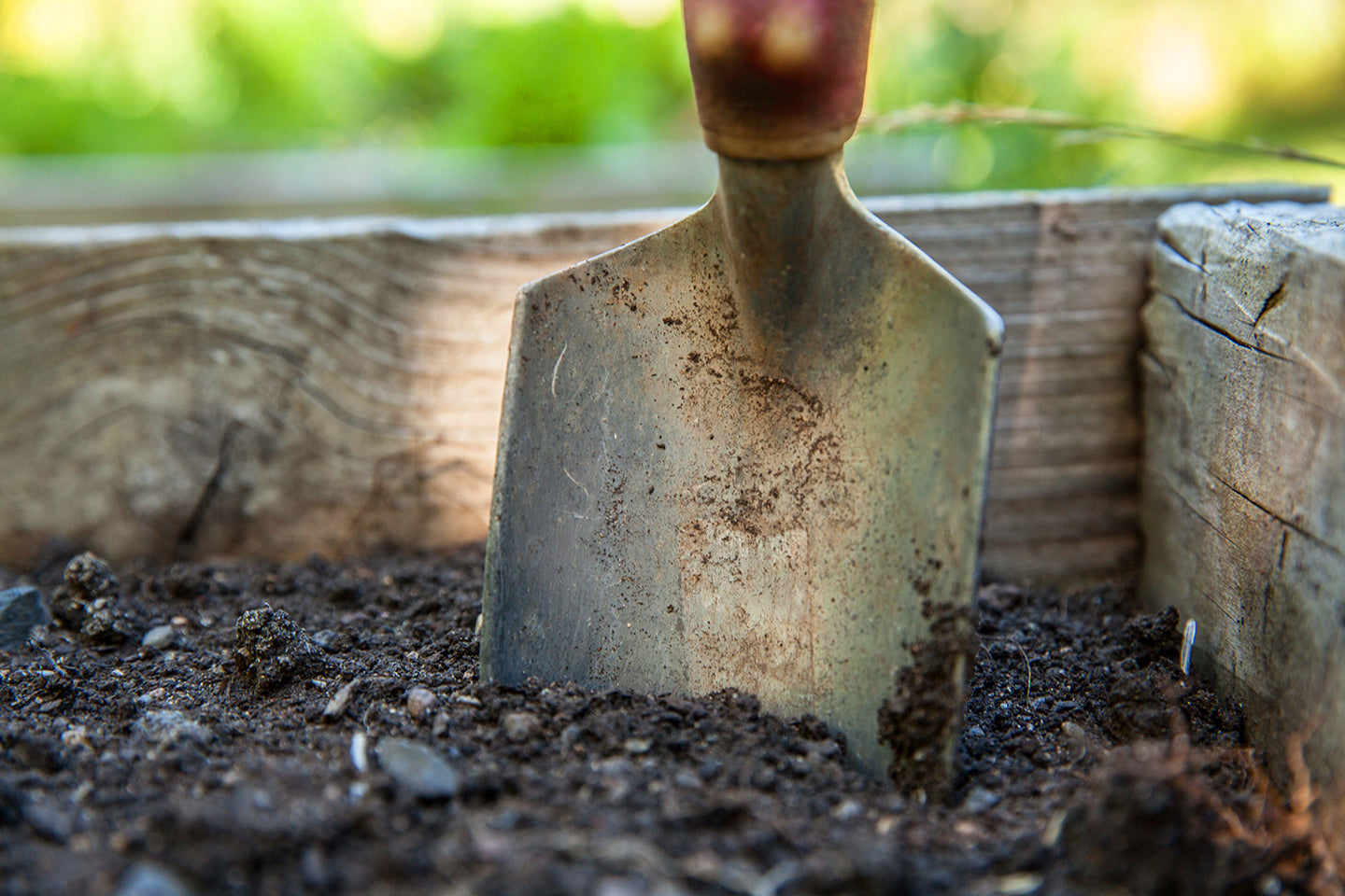 How to Build and Nourish Healthy Garden Soil