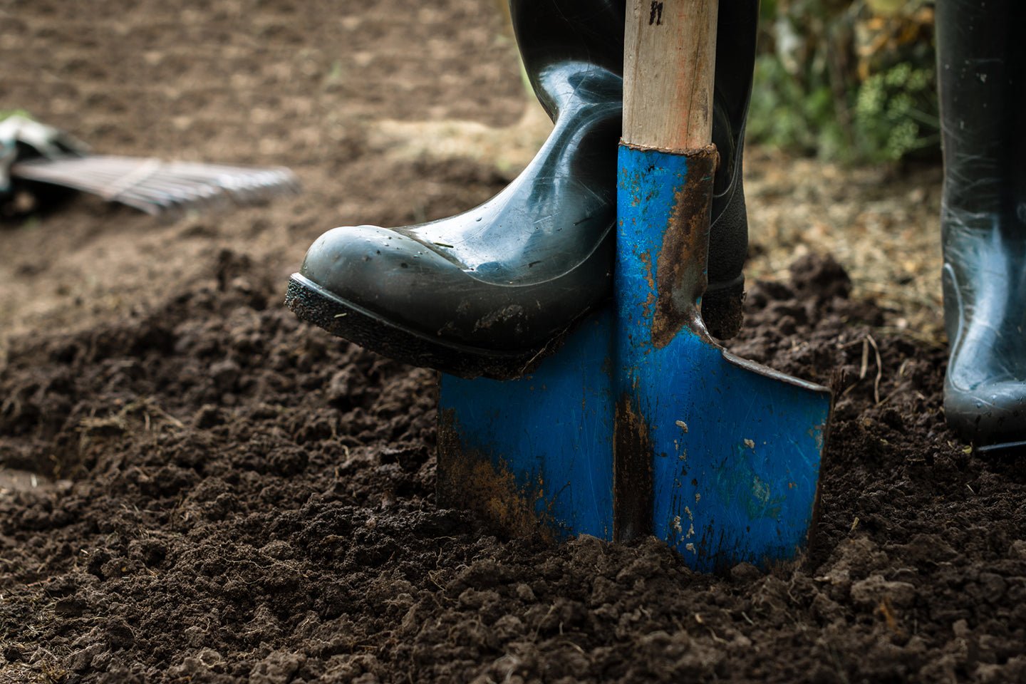 How to Garden in Compacted Soil - Eartheasy