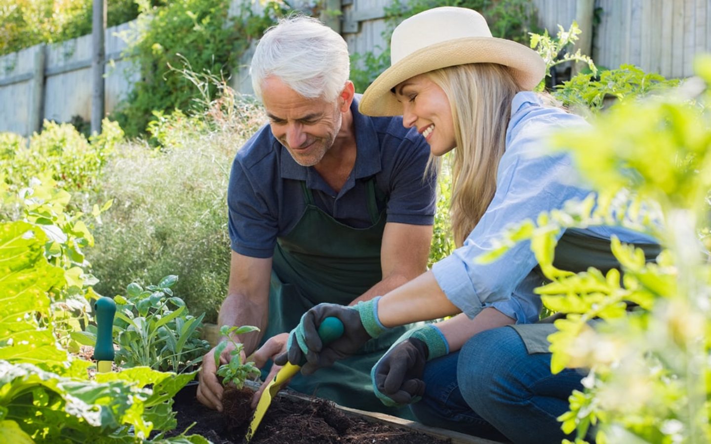 Can Dementia be Prevented by Diet and Lifestyle?