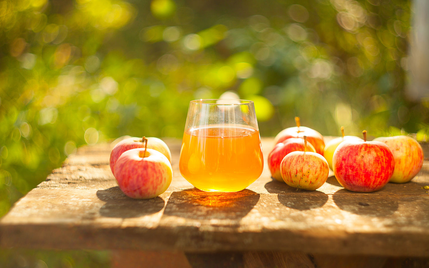 Making Your Own Apple Juice