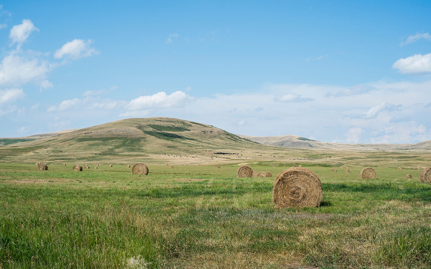 Land Trusts: Protecting Nature for Us and the Health of the Planet