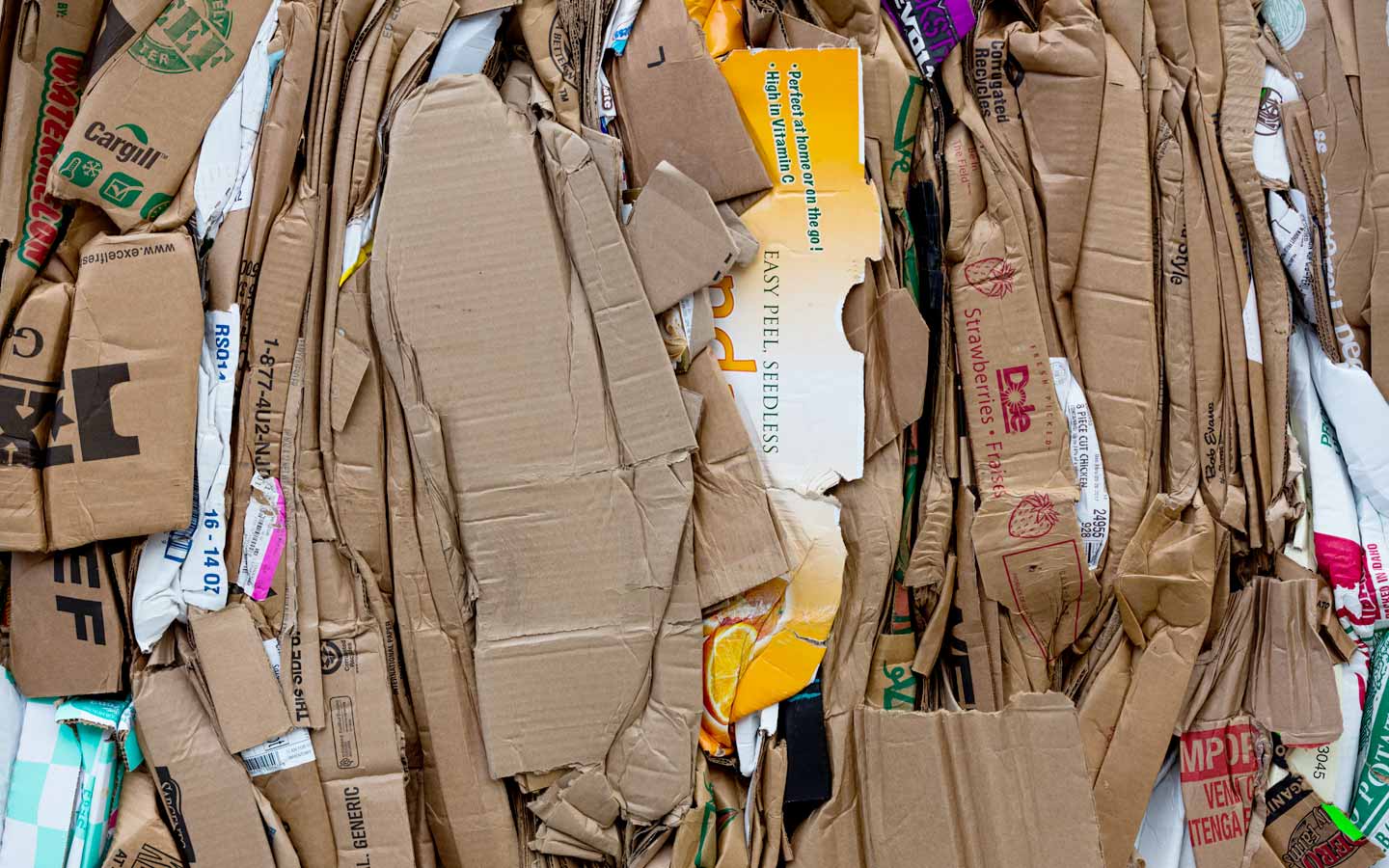 Recycling Basics for the Home