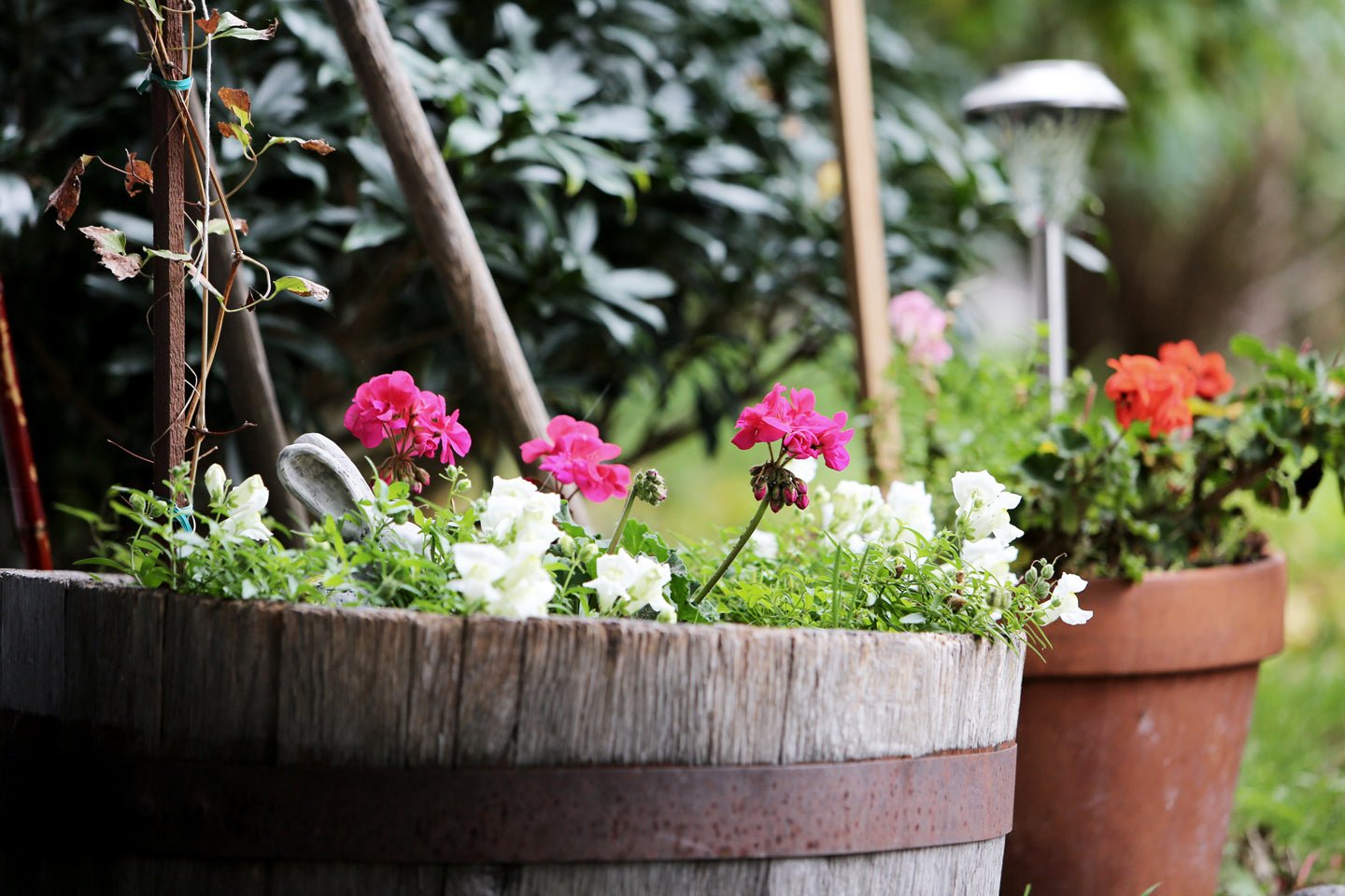 Making the Most of a Small Space Garden - Eartheasy