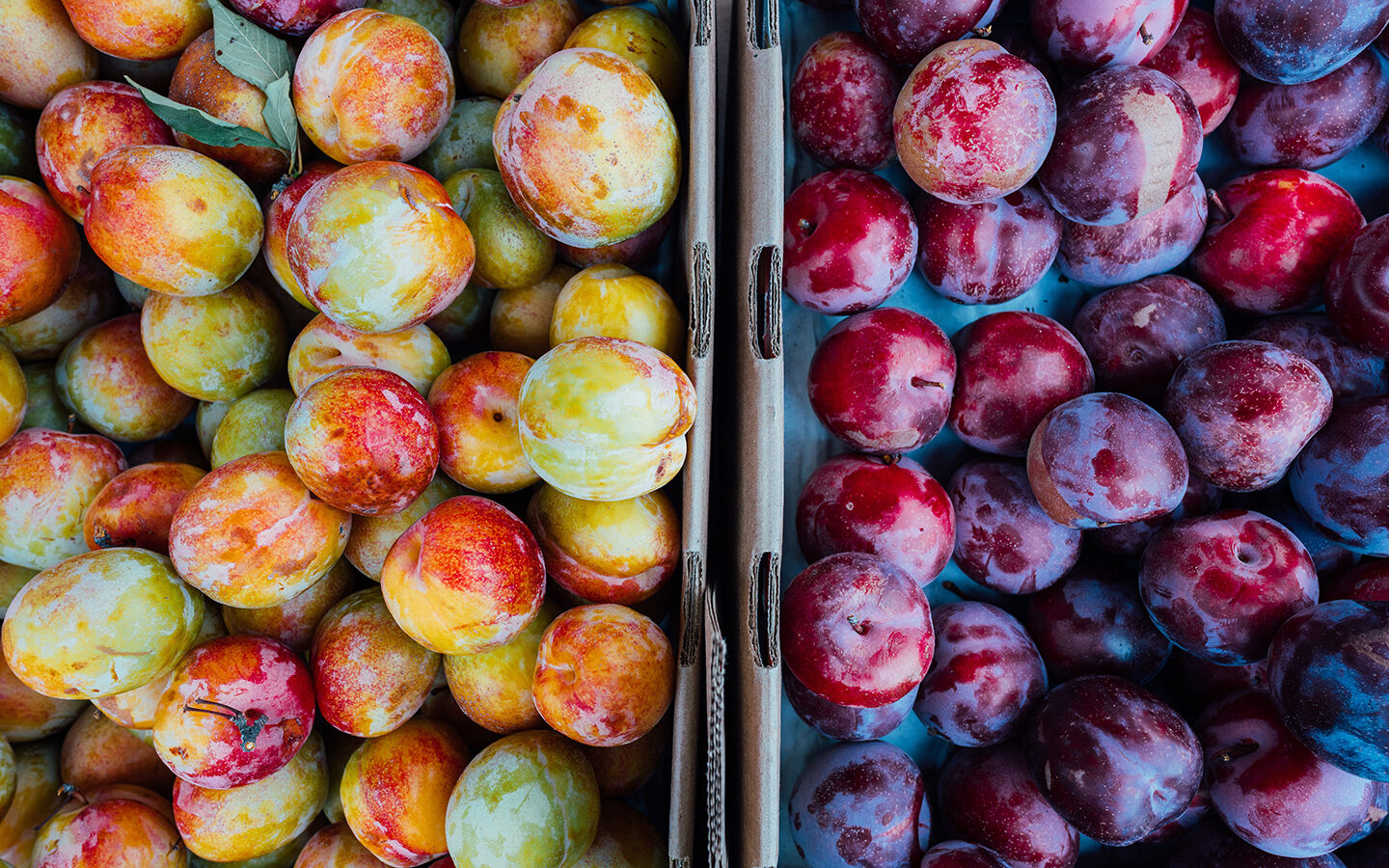 Fair Food Farmstand: Providing Accessibility to Locally Grown Food