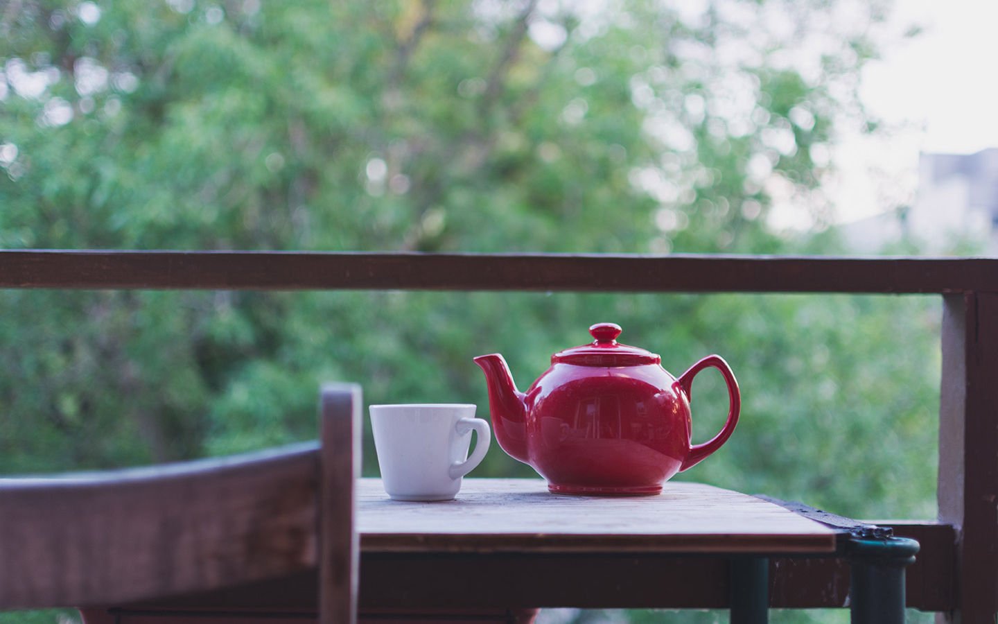 Nettle Tea – How to Make a Natural Spring Tonic - Eartheasy
