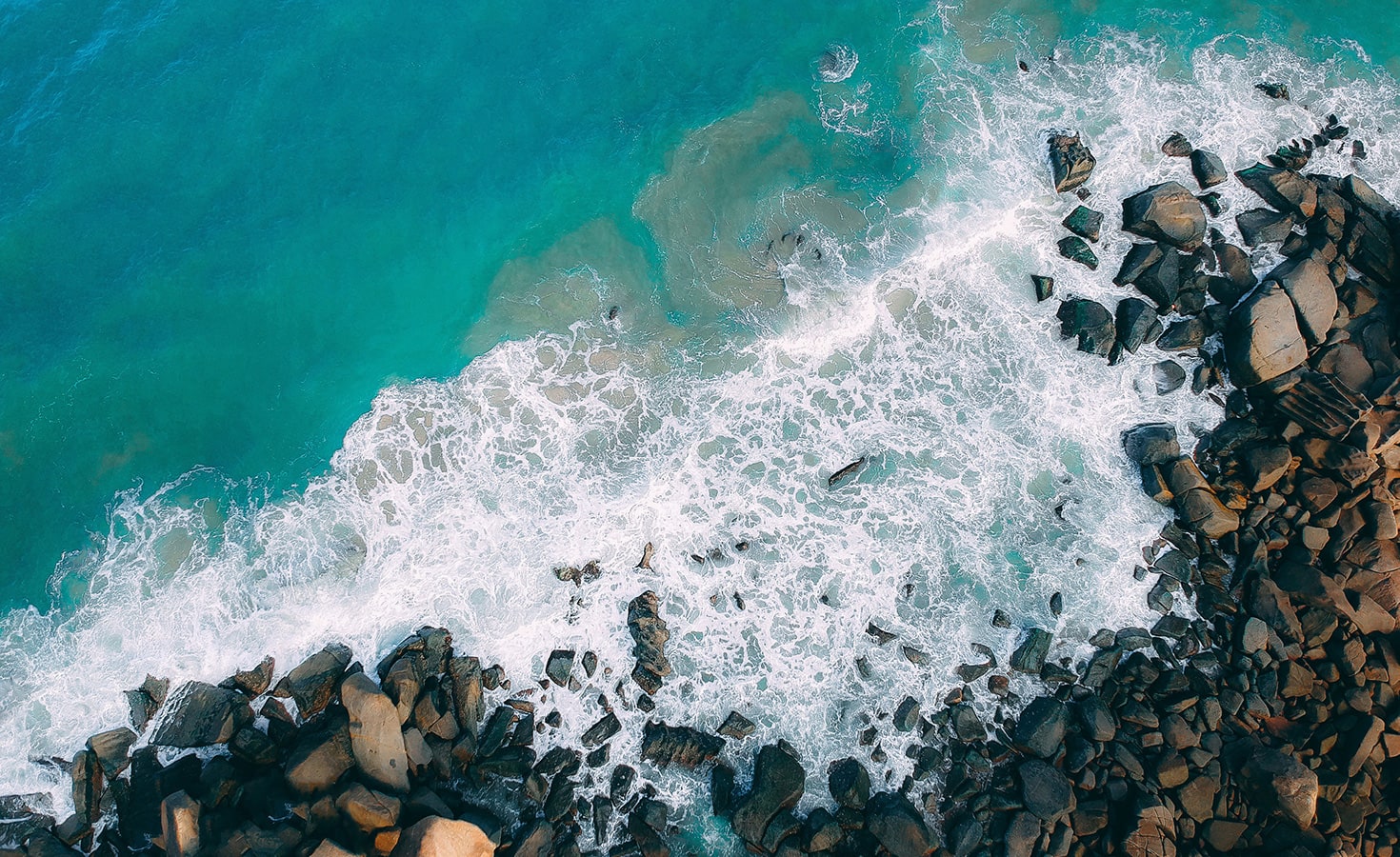 Ocean Plastic Pollution: Here’s How You Can Help