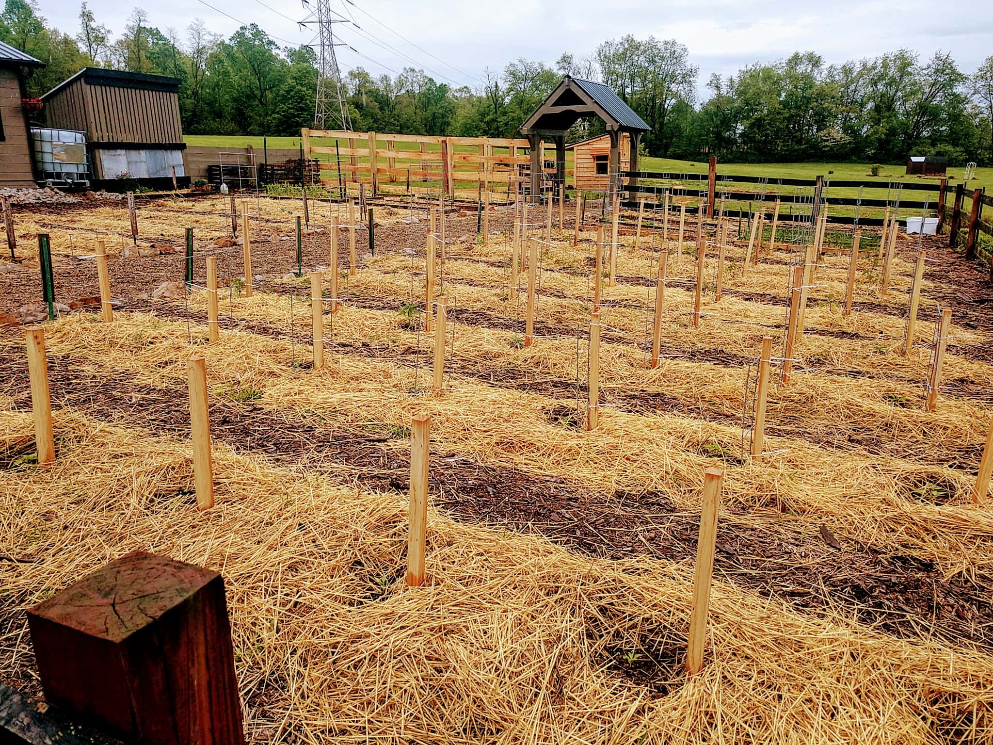Raised Rows: The Best No-Till Gardening Method - Eartheasy