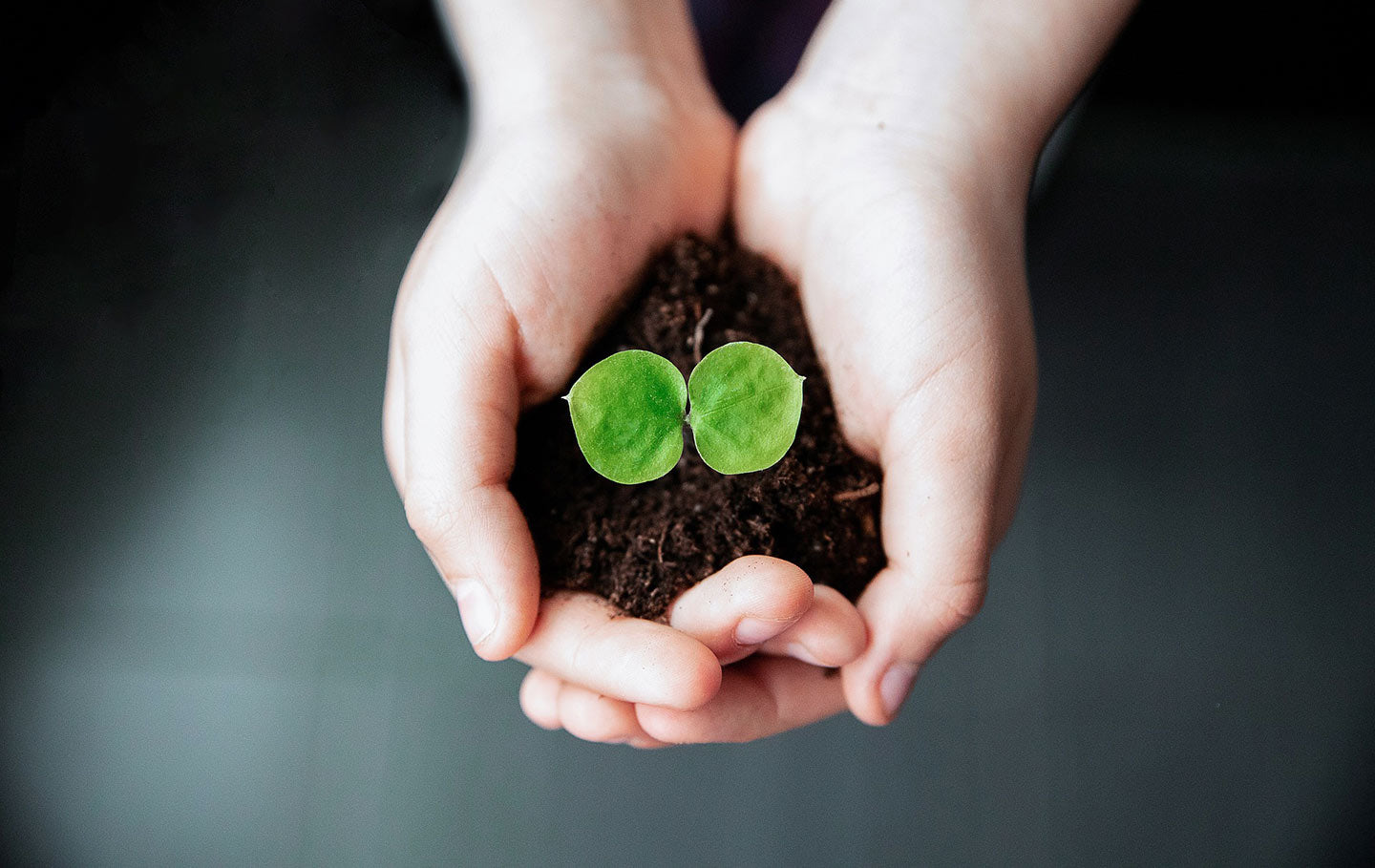 Composting Toilets and Your Garden