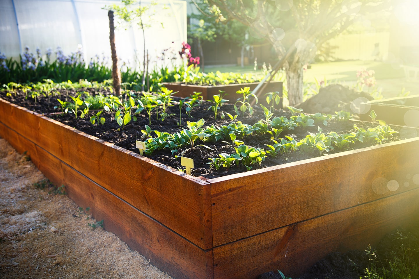 How to Build a Raised Garden Bed: Best Kits, Materials & DIY Plans