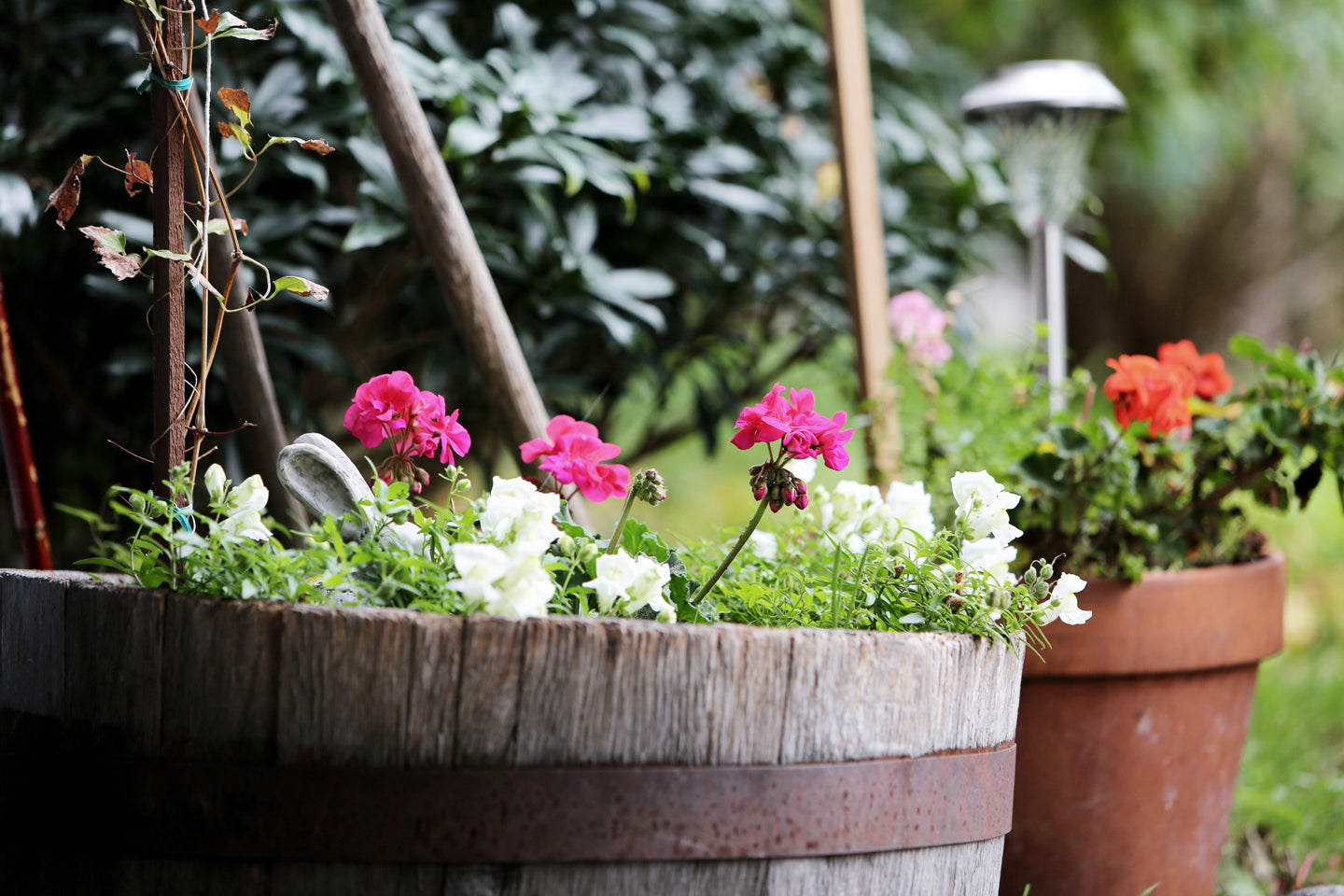 Making the Most of a Small Space Garden