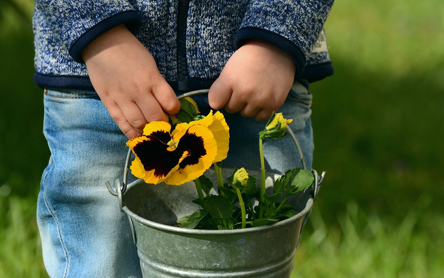 Teaching My Child How to Garden: Summer Progress - Eartheasy
