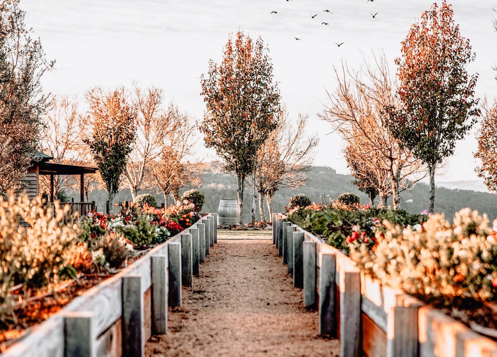 10 Fall Tasks for Raised Garden Beds