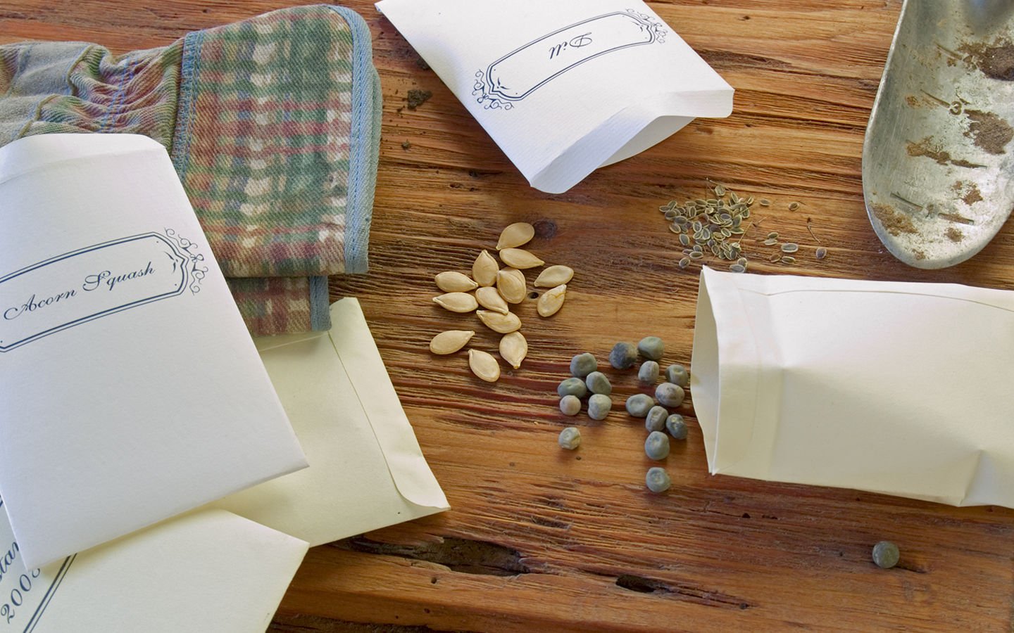 Vegetable Garden Seed Ordering Tips - Eartheasy