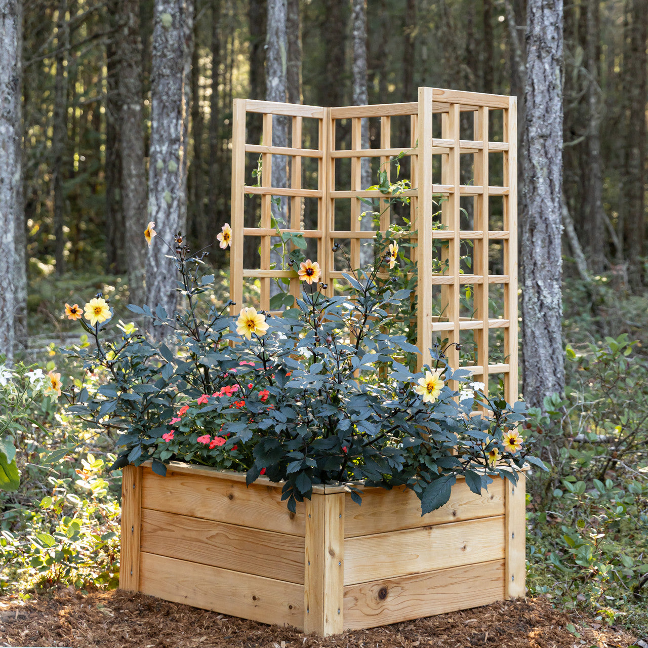 Natural Cedar Raised Bed with U-Shape Trellis