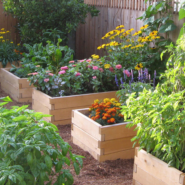Classic Natural Cedar Raised Garden Beds Classic Natural Cedar Raised Garden Beds