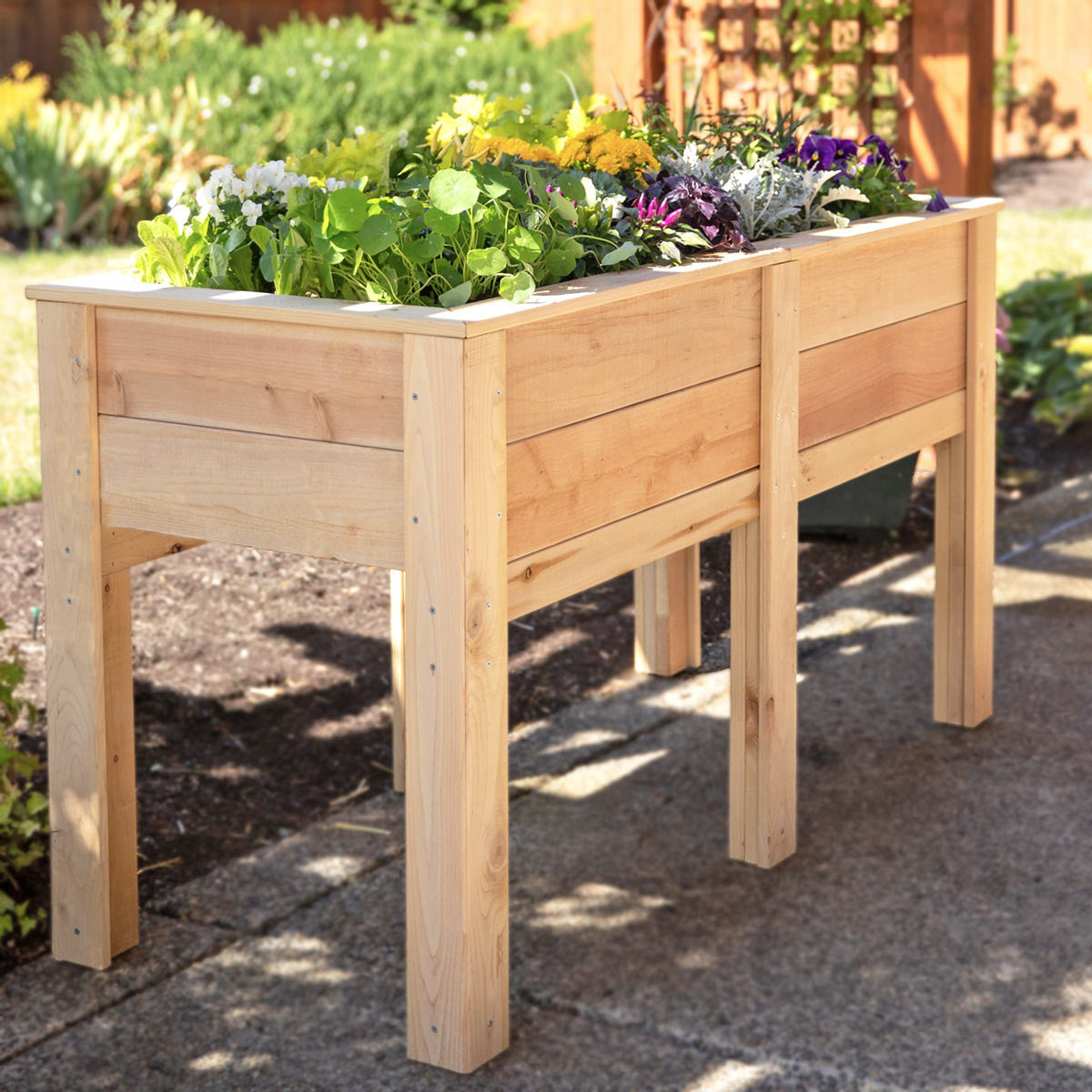 Natural Cedar Elevated Garden Planter Boxes