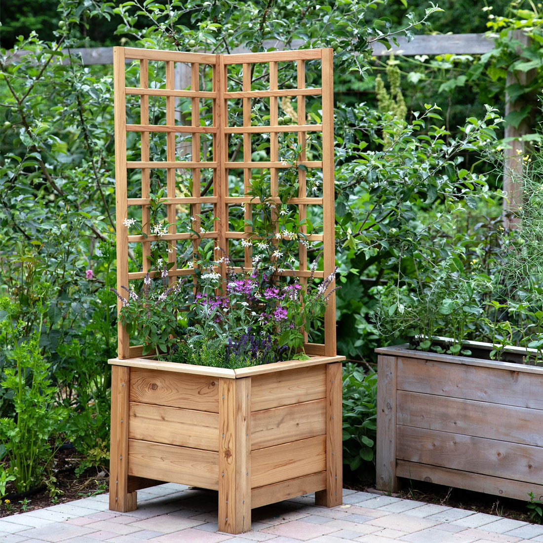 wooden box planter lattice trellis Natural Cedar Raised Planter Box with L-Trellis