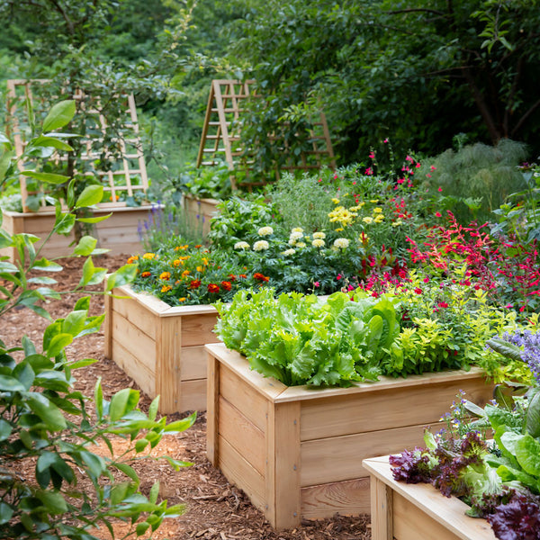 Natural Cedar Raised Garden Beds Natural Cedar Raised Garden Beds
