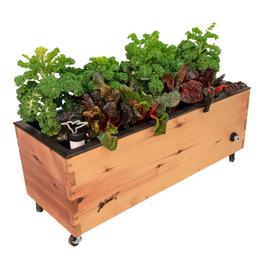 LowRider Self-Watering Planter