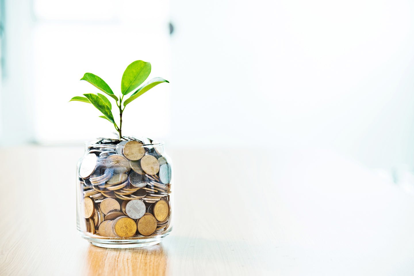 10 Best Environmental Charities - Eartheasy