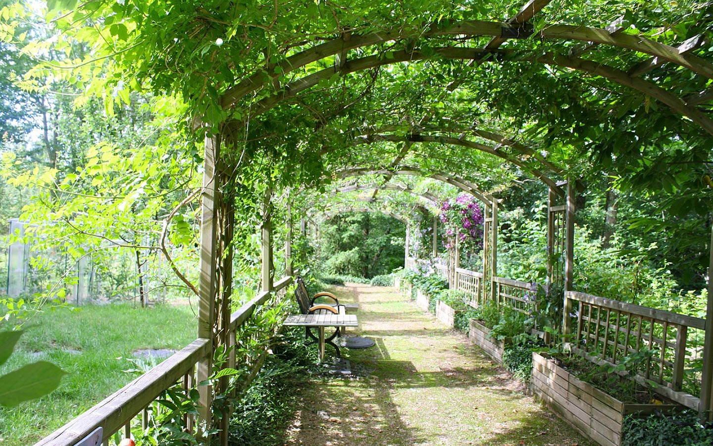 10 Pergola Ideas to Elevate Your Backyard Patio - Eartheasy