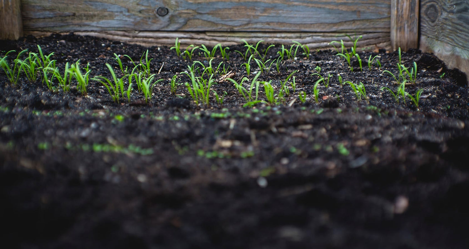 10 Pro Composting Tips from Expert Gardeners - Eartheasy