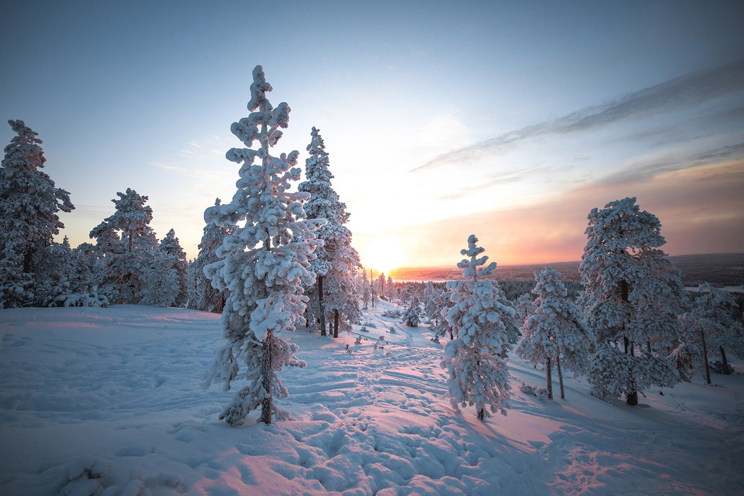 10 Resolutions for a More Sustainable Year - Eartheasy
