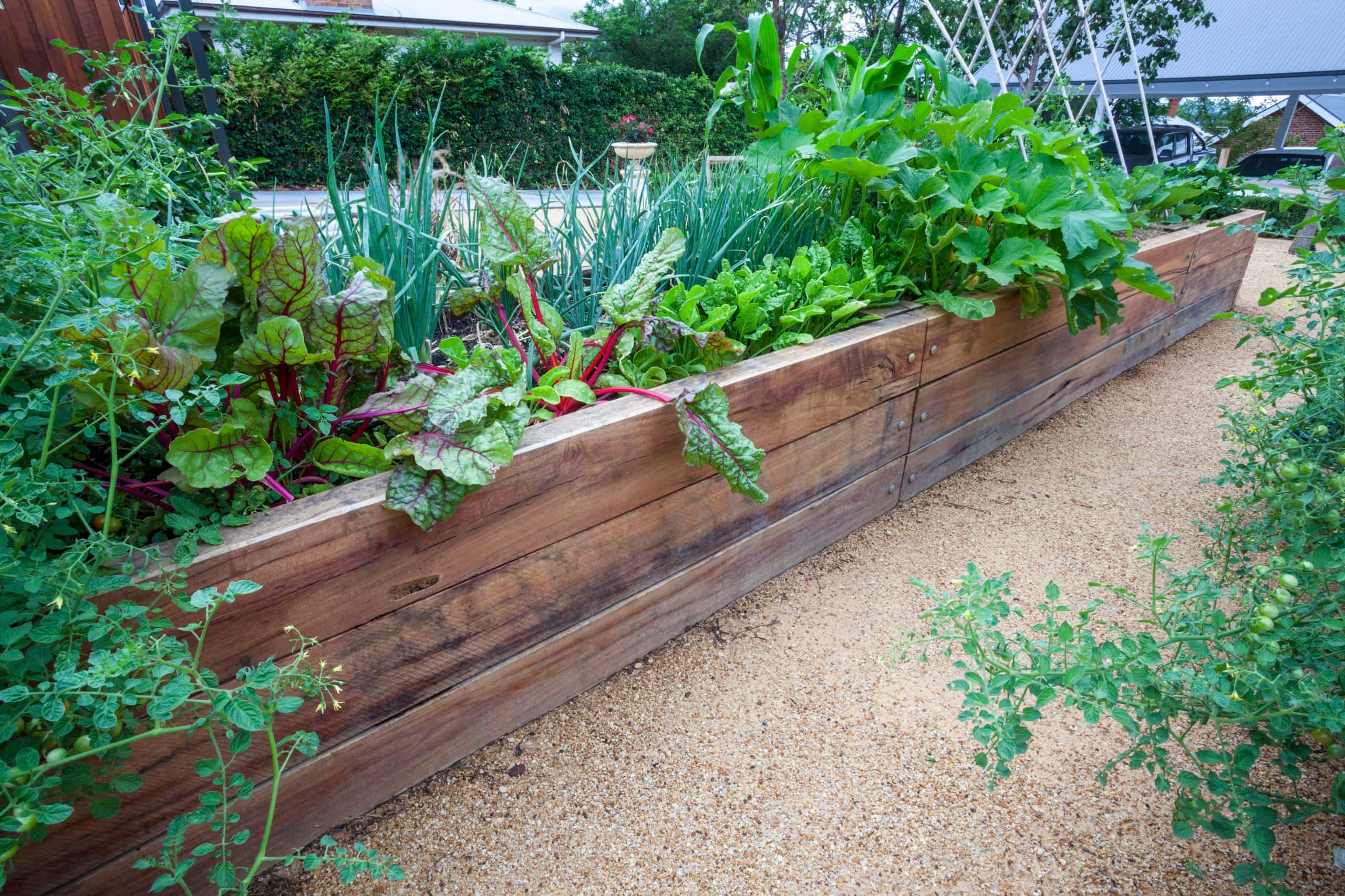 12 Things to Consider Before Installing Raised Garden Beds - Eartheasy