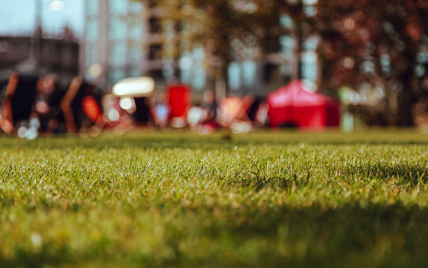 How to Save Water During a Heat Wave: 5 Easy Ways