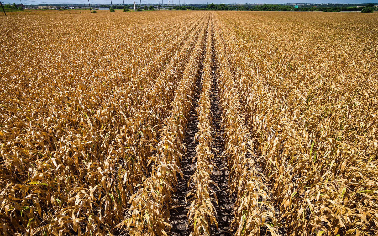 Megadroughts Ahead? Let’s All Cut Water Use by 20%