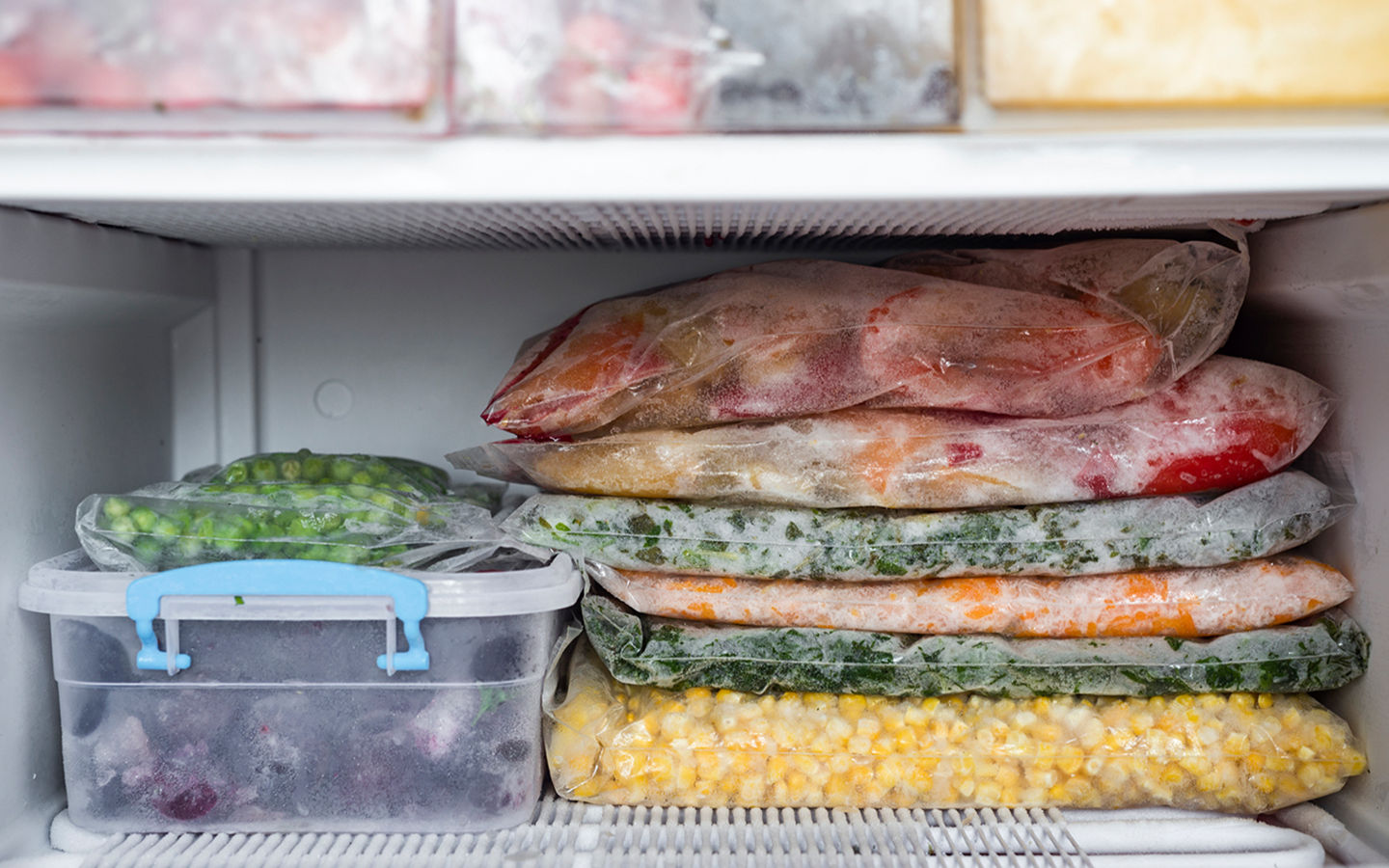 Our Experience With a Solar Powered Refrigerator